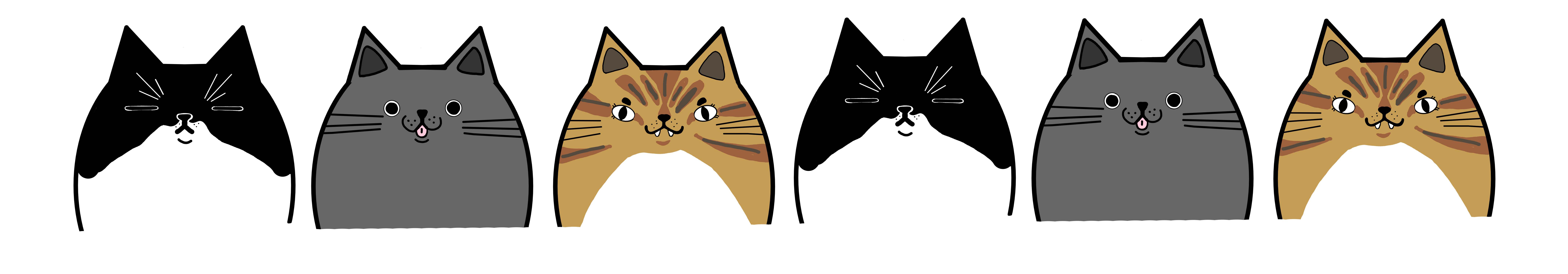 cat banner